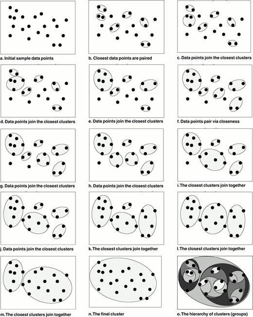 Figure 9. Process of agglomerative (bottom-up, clumping) hierarchical clustering. / The figure is a diagrammatic representation of the process of agglomerative hierarchical clustering. Each dot represents a sample associated with a certain gene expression pattern. The computer algorithm will identify pairs of samples with the most similarity in expression pattern. Samples are added to these original pairs based now on the average pattern of gene expression of each of the pairs. This process is repeated, giving rise to larger and larger clusters and eventually all the samples will be grouped together under one cluster. The cluster can be represented in the form of a dendrogram as illustrated in Figure 8 (color page 545).