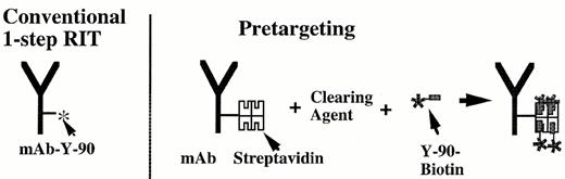 Figure 3. Comparison of conventional single step radioimmunotherapy with directly radiolabeled antibodies compared with “two-step” pretargeted radioimmunotherapy using a streptavidin-biotin amplification method (see text).