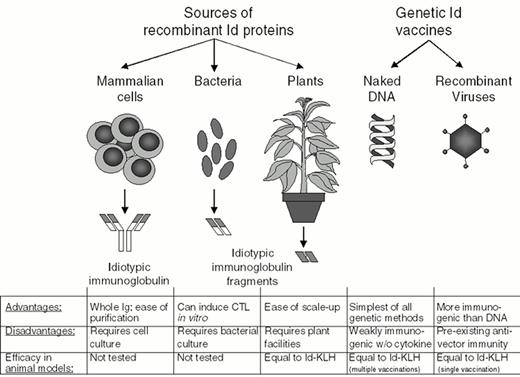 Figure 8. Newer approaches to idiotype vaccine production utilizing recombinant DNA.