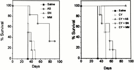 Figure 5. Survival of cohorts of 6 mice treated with oligonucleotides alone (left panel) or with cyclophosphamide (CY) (right panel). / All six surviving animals treated with cyclophosphamide and G3139 sacrificed at 90 days with no molecular evidence of disease detected. / Saline=control animals ; AS=antisense oligonucleotide G3139 directed at bcl-2 ; SN=reverse sequence sense control ; MM= 2-base mismatch control.