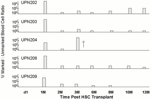 Figure 2. DNA PCR detection of transgene from MuLV transduced PBPC transplanted into patients with AIDS lymphoma. Results expressed as reciprocal of the ratio of gene marked cells to unmarked cells in peripheral blood during the first year after transplantation.