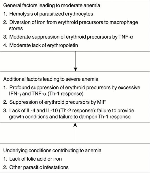 Figure 1. Possible mechanisms of severe malarial anemia. / Abbreviations: IFN-γ, interferon-gamma; IL, interleukin; MIF, macrophage migration inhibitory factor; TNF-α, tumor necrosis factor-alpha