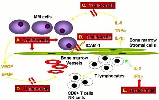 Anderson Figure 5 (Dalton et al). Actions of thalidomide against multiple myeloma.