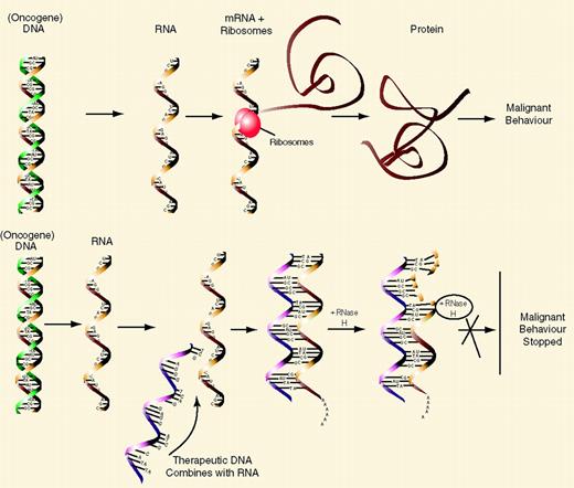 Klasa Figure 1 (Klasa et al).