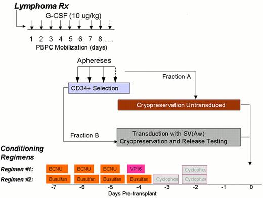 Zaia Figure 3 (Levine et al). Gene transfer model.