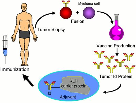 Levy Figure 5 (Press et al). Schema for idiotype-KLH vaccination for lymphoma.