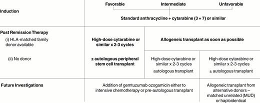 Suggested schema for the post-remission therapy of adults with newly diagnosed acute myeloid leukemia (except APL) according to cytogenetic prognostic groups.