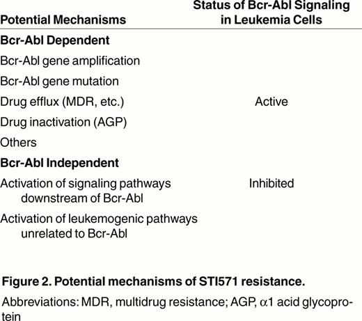 Figure 2. Potential mechanisms of STI571 resistance. / Abbreviations: MDR, multidrug resistance; AGP, α1 acid glycoprotein