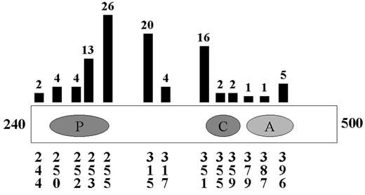 Figure 1. Schematic of point mutations in the Abl kinase domain. / The Abl kinase domain, from amino acid 240 to 500, is shown with the ATP binding domain (P), the catalytic domain (C) and the activation loop (A). The numbers below the kinase domain are amino acids that are mutated in patients who relapsed on therapy with imatinib. The vertical lines above the kinase domain indicate the number of times each amino acid has been found to be mutated as compiled from Shah et al,43 Hochhaus et al,42 Branford et al,44 von Bubnoff et al,45 and Hofmann et al.47 Adapted from Shah et al.43