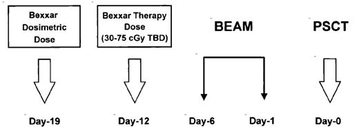 Figure 5. Combination radioimmunoconjugate plus high-dose chemotherapy and autologous hematopoietic stem cell transplantation protocol.