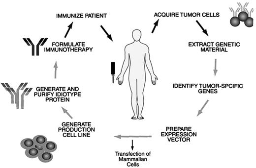 Figure 7. Methodology for manufacturing the “Molecular Rescue” vaccine.