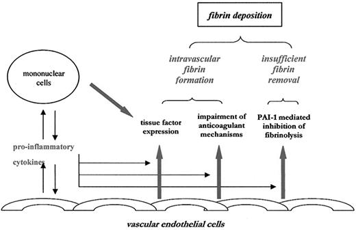 Figure 1. Schematic representation of pathogenetic pathways in DIC. / During systemic inflammatory response syndromes, both perturbed endothelial cells and activated mononuclear cells may produce proinflammatory cytokines that mediate coagulation activation. Activation of coagulation is initiated by tissue factor expression on activated mononuclear cells and endothelial cells. In addition, downregulation of physiological anticoagulant mechanisms and inhibition of fibrinolysis by endothelial cells will further promote intravascular fibrin deposition. PAI-1 indicates plasminogen activator inhibitor, type 1.