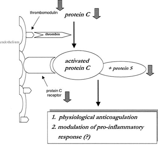 Figure 3. Dysfunction of the protein C system in disseminated intravascular coagulation (DIC) is due to low levels of zymogen protein C, downregulation of thrombomodulin and the endothelial protein C receptor, and low levels of free protein S due to acute phase-induced high levels of its binding protein (i.e., C4b-binding protein).