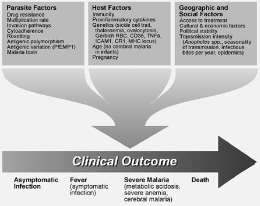 Figure 1. The clinical outcome of a malarial infection in an Africa child depends on many parasite, host, geographic and social factors. These converge in the child to result in a range of outcomes, from an asymptomatic infection to severe disease and death.