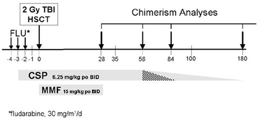 Figure 1. HLA-matched related hematopoietic stem cell transplantation (HSCT). / Abbreviations: TBI, total body irradiation; CSP, cyclosporine, MMF, mycophenolate mofetil.