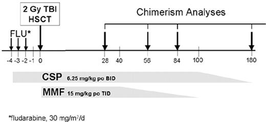Figure 2. HLA-matched unrelated hematopoietic stem cell transplantation (HSCT). / Abbreviations: CSP, cyclosporine; TBI, total body irradiation; mmf, mycophenolate mofetil