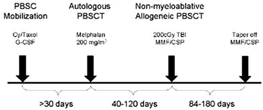 Figure 3. Tandem transplant treatment timeline. / Abbreviations: PBSC, peripheral blood stem cell; PBSCT, PBSC transplantation; G-CSF, granulocyte colony stimulating factor; TBI, total body irradiation; MMF, mycophenolate mofetil; CSP, cyclosporine.