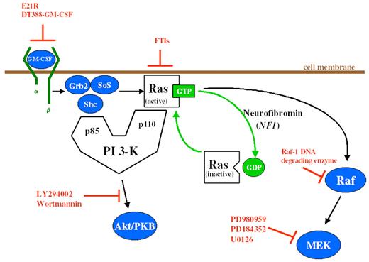 Emanuel Figure 3 (in Arceci et al). Schema of GM-CSF signal transduction through the Ras signaling pathways. Potential inhibitors of this pathway are depicted in orange. E21R is a GM-CSF antagonist analogue. DT388-GM-CSF is a GM-CSF molecule/diphtheria toxin fusion construct. / Abbreviations: GM-CSF, granulocyte-macrophage colony-stimulating factor; FTIs, farnesyltransferase inhibitors; GTP, guanosine triphosphate; GDP, guanosine diphosphate; PI 3-K, phosphatidylinositol 3-kinase; PKB, protein kinase B; MEK, mitogen-activated protein kinase kinase.