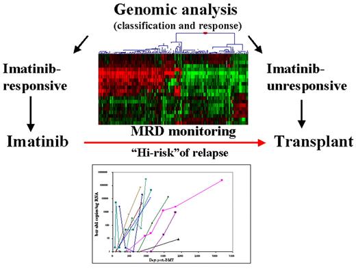 Radich Figure 10 (in Druker et al). CML treatment in the future. / Genomic analysis may suggest the proper treatment option; molecular monitoring may give early insight as to when treatment can be discontinued, or modified.