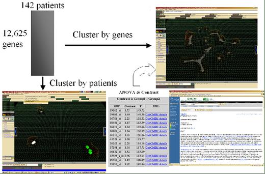Willman Figure 6 (in Giles et al). Multidatabase knowledge mining.