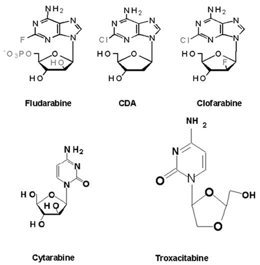 Figure 8. Nucleoside analogues.