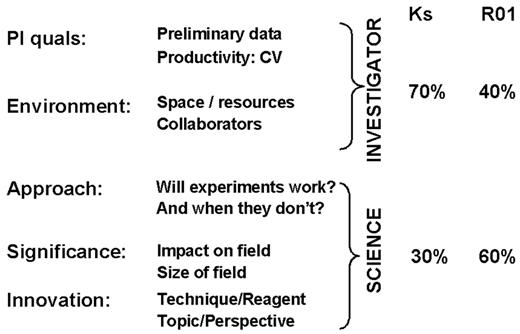 Figure 2. NIH grant criteria. / Abbreviations: PI, principal investigator; quals, qualifications; CV, curriculum vitae; K, mentored research awards; R01, independent research awards.