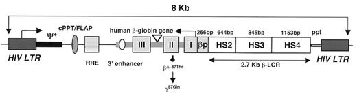 Figure 6. The lentivirus vector use for the correction of sickle cell in transgenic mice. / Diagram of the βT27Q-globin provirus. / Abbreviations: HIV LTR, human immune deficiency type-1 virus long terminal repeat; +, packaging signal; cPPT/flap or central polypurine tract/DNA flap; RRE or Rev-responsive element; P, β-globin promoter; ppt, polypurine tract. / The 3′ β-globin enhancer, the 372 bp IVS2 deletion, the βT87Q mutation and sections of DnaseI hypersensitive sites (HS) 2, HS3, and HS4 of the β-globin LCR are indicated. / The cPPT/flap and the RRE element help in the export of the mRNA from the nucleus to the cytoplasma. / This vector integrates with an average of 3 copies per genome that is higher than previous vectors. / This vector has given no indication of silencing over time. / Reprinted with permission from Pawliuk R, Westerman KA, Fabry ME, et al. Correction of sickle cell disease in transgenic mouse models by gene therapy. Science. 2000;294:2368–2371. / Abbreviations: LCR, locus control region, 5′ to the β-like gene cluster, involved in the development-appropriate globin gene expression; IVS2, intervening sequence 2.
