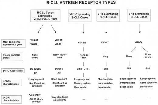 Figure 2. Characteristics of the most common and the most unique B-cell chronic lymphocytic leukemia (B-CLL) B-cell receptors (BCRs). / The prototypic unmutated BCR is represented by the rearrangement that uses the VH 1-69 gene, whereas the prototypic mutated BCR is represented by the VH3-07 rearrangement. The VH4-34 rearrangements have characteristics of both the prototypic unmutated and mutated BCRs. The arrangements involving these 3 VH genes are the most common in B-CLL. Less common but remarkably unique BCRs are represented by the VH4-39 and VH3-21 rearrangements that pair with defined D, JH, VL, and JL genes. These latter BCRs are the most striking examples of antigen selection of a specific antigen-binding site. Adapted, with permission, from the Annual Review of Immunology, Volume 21, 20032 (www.annualreviews.org). / Abbreviations: BCR, B-cell receptor; B-CLL, B-cell chronic lymphocytic leukemia; CDR, complementarity determining region.