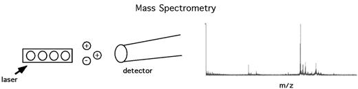 Figure 5. Overview of mass spectrometry.Patient proteins bound to a chip are irradiated by a laser, launching desorbed proteins as charged ions. Detection of the time-of-flight (TOF) of these ions yields a spectrum of mass-to-charge ratios (m/z). This spectrum, reflecting the protein constituents of the original sample, is then analyzed by self-learning pattern recognition software and compared to previously encountered spectra.