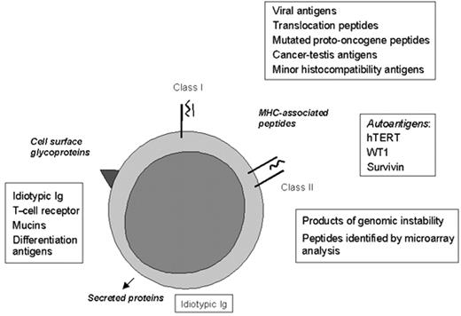 Figure 1. Target tumor antigens of hematological malignancies. / Target antigens can be expressed in 3 molecular forms: as cell surface glycoproteins, as peptides associated with the MHC Class I or Class II molecules, or as secreted proteins.