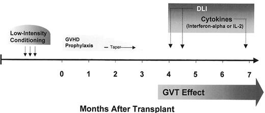 Figure 8. Strategies to enhance graft-versus-tumor (GVT) effects in solid tumors after nonmyeloablative hematopoietic cell transplantation (HCT).Abbreviations: DLI, donor lymphocyte infusion; IL-2, interleukin-2; GVHD, graft-versus-host disease.