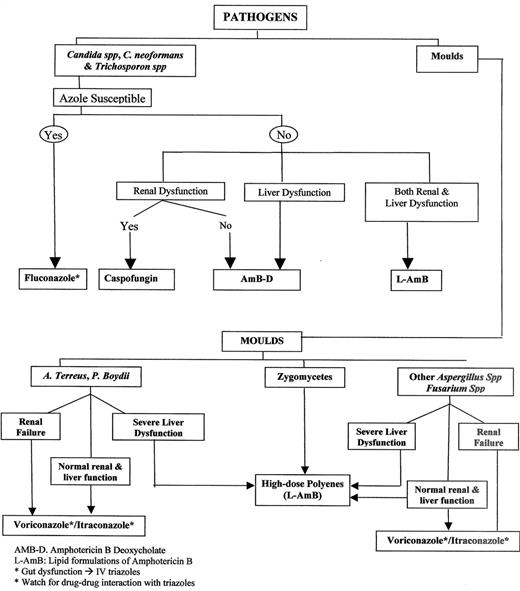 Figure 8. Pathogen and host-based selection of antifungal agent.