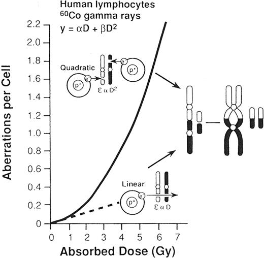 Figure 3. Frequency of chromosome aberrations (dicentrics and rings) at low doses (dashed line) and at higher doses (solid line). / The probability of an exchange aberration is proportional to dose (D) and the square of the dose (D2), respectively. At low doses, a secondary electron resulting from absorption of an x-ray photon induces breaks in each of the chromosomes. At high doses, secondary electrons from multiple atoms induce these chromosome breaks. The net effect of a break is interchange of chromosomal material, resulting in the formation of a dicentric and an acentric fragment. / Reprinted with permission from Hall EJ. Radiobiology for the Radiologist. 5th ed. Philadelphia, PA: Lippincott, Williams & Wilkins; 2000. 1