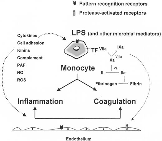 Figure 3. Schematic of the innate immune response. / Shown are the monocyte, the endothelium, inflammatory and coagulation pathways, and receptors for lipopolysaccharide (LPS) and serine proteases. / Abbreviations: TF, tissue factor; PAF, platelet activating factor; NO, nitric oxide; ROS, reactive oxygen species.