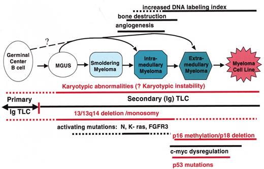 Kuehl Figure 2. (in Barlogie et al). Multistep molecular pathogenesis of monoclonal gammopathy of undertermined significance (MGUS)/multiple myeloma (MM) tumors. / Defined stages of pathogenesis are depicted, with arrows indicating potential pathways. The approximate timing of several clinical features and oncogenic changes are depicted as thick horizontal lines, with dashed regions reflecting some uncertainty as to the precise time that these changes occur. The vertical line that separates primary and secondary translocations is meant to depict the cessation of IgH switch recombination and somatic hypermutation during B cell maturation.