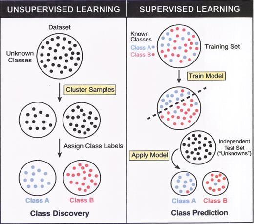 Shipp Figure 4. (in Braziel et al). Unsupervised versus supervised learning. / Reprinted with permission from Ramaswamy S, Golub TR. DNA microarrays in clinical oncology. J Clin Oncol. 2002;20:1932.