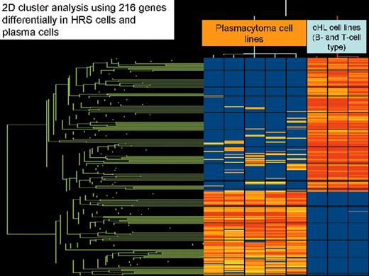 Stein Figure 4. (in Diehl et al). Two-dimensional cluster analysis of 5 plasmacytoma cell lines and 3 classical Hodgkin’s lymphoma cell lines of B-cell type (L1236, L428, and KM-H), which was generated by application of 216 genes that were significantly different expressed between both lymphoma entities (Student t-test, P-value cutoff .00005 without multiple testing correction).