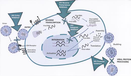 Volberding Figure 1. Stages of human immunodeficiency virus (HIV)-1 life cycle targeted by anti-HIV drugs. / Reprinted with permission from Gulick RM. Topics HIV Med. 2002:10(4). The International AIDS Society—USA