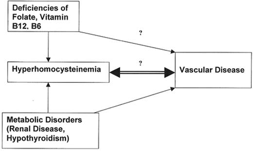 Figure 2. Possible interrelationship between hyperhomocysteinemia and vascular disease.