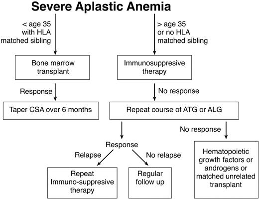 Figure 1. Management algorithm for patients with severe acquired aplastic anemia.