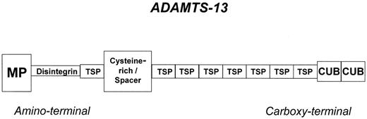 Figure 1. Domain structure of the plasma VWF-cleaving metalloprotease, ADAMTS13. / Abbreviations: MP, metalloprotease (proteolytic) domain; TSP, thrombospondin-1-like domain (a total of 8 are present); CUB, two similar domains containing peptide sequences found in the complement components, C1r/C1s, a sea urchin protein, and a bone morphogenic protein.