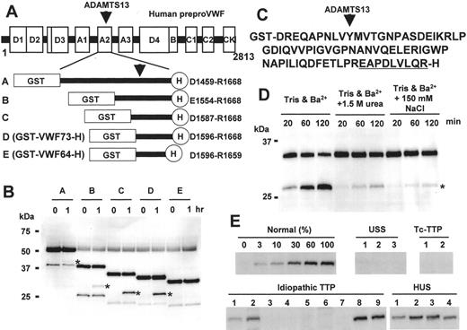 Figure 3. A novel assay for ADAMTS13. / (A) Structures of substrates A–E. The domain structure of human preproVWF is depicted. Five recombinant proteins flanked with GST- and H-tags were expressed for the ADAMTS13 assay. Substrates D and E were designated as GST-VWF73-H and GST-VWF64-H, respectively. / (B) Cleavage of recombinant proteins. The recombinant proteins were incubated with normal plasma at 37°C for 1 hour. The reaction products were run by SDS-polyacrylamide gel electrophoresis and the products were detected by anti-GST antibodies. The product bands are indicated by asterisks. The nonspecific bands of approximately 50 kDa are plasma albumin. / (C) Amino acid sequence of VWF73. Nine amino acid residues indispensable for cleavage are underlined. / (D) Effect of urea and ion concentration on cleavage. GST-VWF73-H was incubated with plasma for the indicated time in reaction buffer (5 mM Tris-HCl, 10 mM BaCl2, pH 8.0) or in the same buffer supplemented with 1.5 M urea or 150 mM NaCl. The products are marked by an asterisk. / (E) Cleavage of GST-VWF73-H by patients’ plasma. GST-VWF73-H was incubated with serially diluted normal plasma (0%–100%) or with plasma from patients with Upshaw-Schulman syndrome (USS), ticlopidine-associated thrombotic thrombocytopenic purpura (Tc-TTP), idiopathic TTP, or hemolytic uremic syndrome (HUS), and the products were detected by anti-GST antibodies. / A part of these figures were originally published in Blood. Kokame K, Matsumoto M, Fujimura Y, Miyata T. VWF73, a region from D1596 to R1668 of von Willebrand factor, provides a minimal substrate for ADAMTS-13. Blood. 2004:103:607–612.
