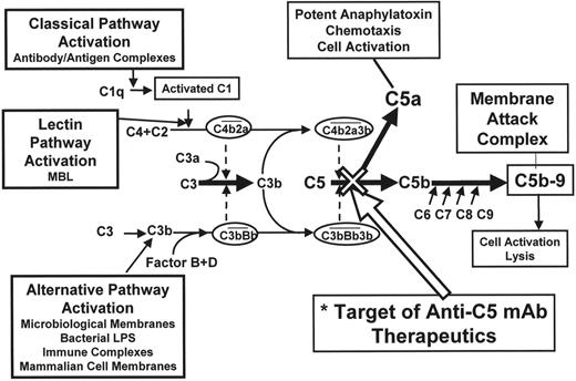 Figure 4. The complement cascade and eculizumab. / The complement cascade culminating in the production of the membrane attack complex that results in the lysis of the cell. The cleavage of C5 is the pivotal point of the pathway. Inherited deficiencies prior to C5 result in recurrent pyogenic infections and autoimmune disorders, whereas deficiencies after C5 have remarkably little effect except for an increased risk of infection by encapsulated organisms. The site of blockage of eculizumab is demonstrated.