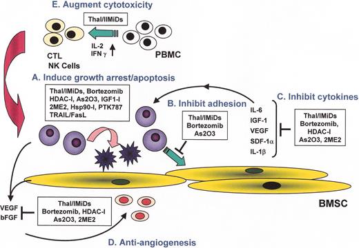 Richardson Figure 8. (in Harousseau et al). Novel biologically-based therapies targeting multiple myeloma (MM) cells and the bone marrow (BM) microenvironment: A. induce G1 growth arrest and apoptosis in MM cell lines and patient cells resistant to conventional chemotherapy; B. decrease MM cell-BM stromal cell binding; C. decrease cytokine production and sequelae in the BM microenvironment; D. decrease angiogenesis; and E. induce host anti-MM immunity.