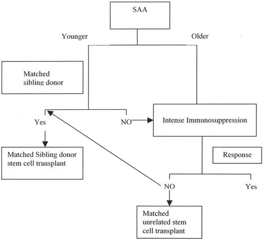 Figure 1. Therapeutic algorithm for aplastic anemia.