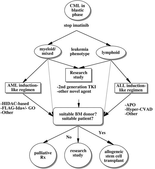 Figure 2. A general treatment algorithm for CML blast crisis occurring during imatinib therapy. Options include clinical trials studying alternate ABL tyrosine kinase inhibitors (TKI) or other novel agents, more traditional chemotherapeutic regimens tailored to the lineage of acute leukemic transformation, and/or allogeneic stem cell transplantation. Some potential chemotherapeutic regimens include HIDAC (high-dose Ara-C); FLAG-Ida (fludarabine, Ara-C, G-CSF, idarubicin) with or without gemtuzumab ozogamicin (GO); APO (adriamycin, prednisone, vincristine)-like regimens; or Hyper-CVAD (hyperfractionated cytoxan, vincristine, adriamycin, decadron). Because of the limited penetration of imatinib into the central nervous system, the risk of concomitant leukemic meningitis should be strongly considered, particularly in lymphoid blast crisis. (As discussed in the text, some patients with BCR-ABL mutations might respond temporarily to imatinib dose escalation.)