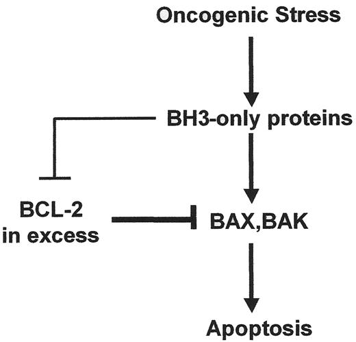 Figure 1. Model for regulation of oncogene-driven apoptosis by BCL-2 family proteins. Oncogenic stress pathways lead to activation of several BH3-only proteins. They all antagonize pro-survival BCL-2 members but in addition certain of these BH3-only members also activate BAX and BAK. When in excess, pro-survival members prevent apoptosis by antagonizing the activated conformers of BAX and BAK. Therapeutics that shift the balance in favor of excess antagonists of pro-survival members should permit oncogenic stress pathways to productively engage the apoptosis mechanism. Details are given in the text.