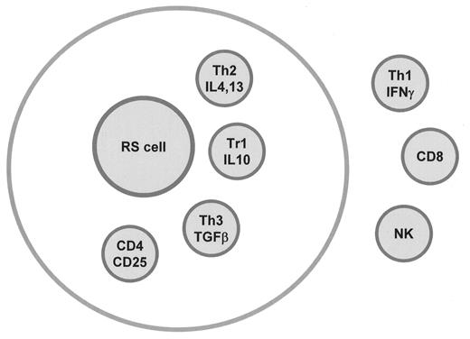 Figure 3. T-cell subsets in Hodgkin lymphoma. / Abbreviations: RS, Reed-Sternberg; TGF, transforming growth factor.