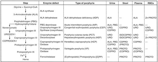 Figure 1. Heme biosynthetic pathway showing the sites of enzymatic defects in the porphyrias and the major biochemical abnormalities in biochemically active disease. Only the major increases in the urine, stool, plasma, and erythrocytes (RBCs) are shown. The dashes (—) represent no abnormalities. For several of the diseases, many patients are biochemically silent (“latent”) carriers of the enzymatic defects for most of their lives. / Abbreviations: COPRO, coproporphyrin; COPROGEN, coproporphyrinogen; ISOCOPRO, isocoproporphyrin; PROTO, protoporphyrin; URO, uroporphyrin; UROGEN, uroporphyrinogen; Zn, zinc. / Reprinted with permission from Chemmanur AT, Bonkovsky HL. Hepatic porphyrias: diagnosis and management. Clin Liver Dis. 2004;8:807–838.