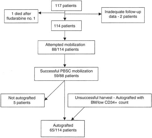 Figure 1. Treatment sequence for 117 patients enrolled in the study and reasons for failure to undergo autologous stem cell transplantation. . / Reprinted with permission from Milligan, D. W. et al. Blood 2005;105:397–404.32
